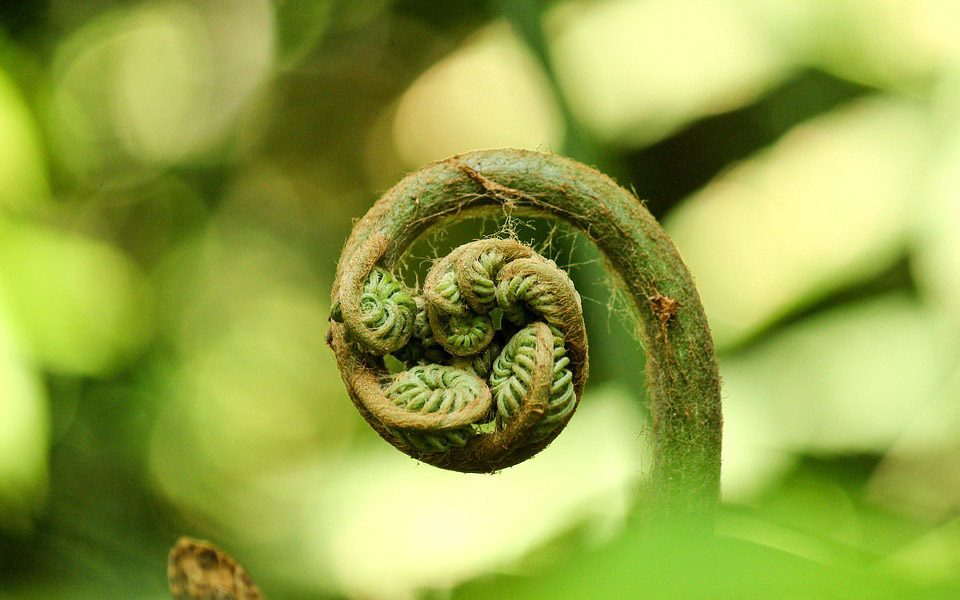 大气质量自动监测系统